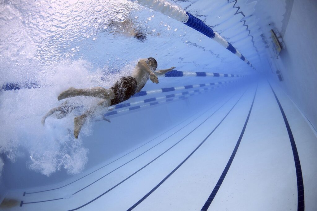 swimmers, swimming, pool, olympic pool, race, competition, water, lanes, sports, water sports, athletes, nature, athletic, olympics, underwater, swimming, swimming, swimming, swimming, swimming